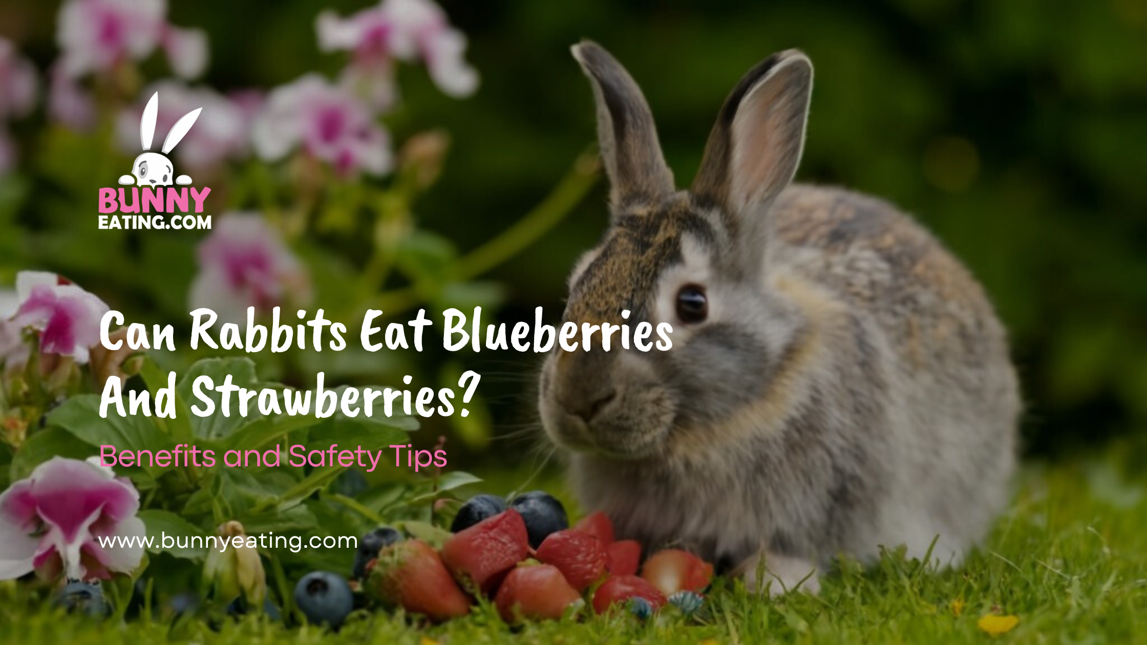 Can Rabbits Eat Blueberries And Strawberries?