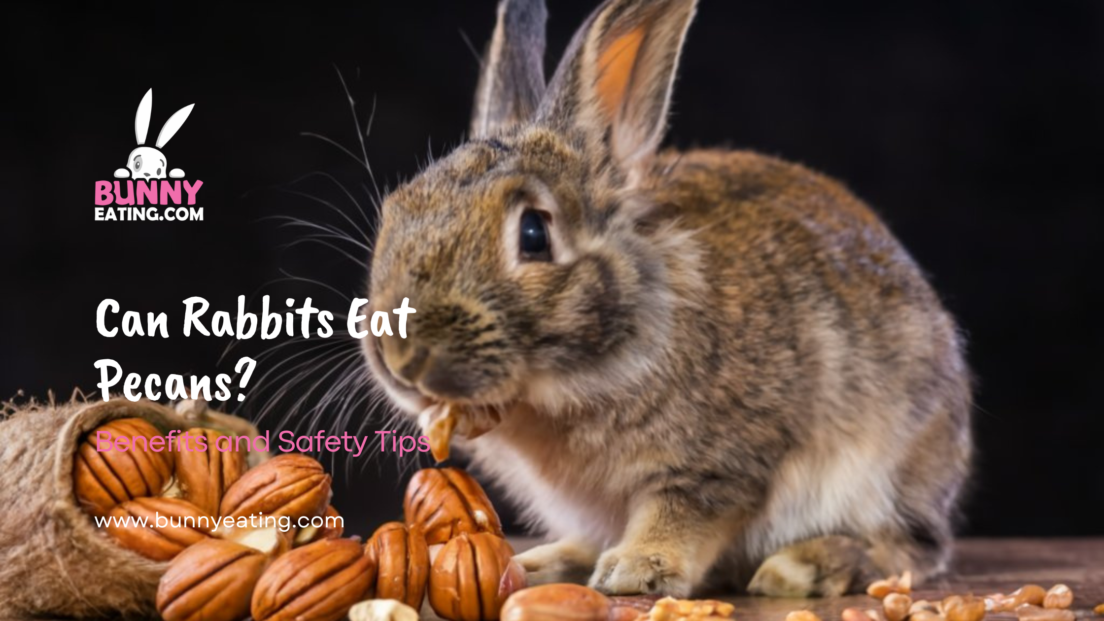 Can Rabbits Eat Pecans?