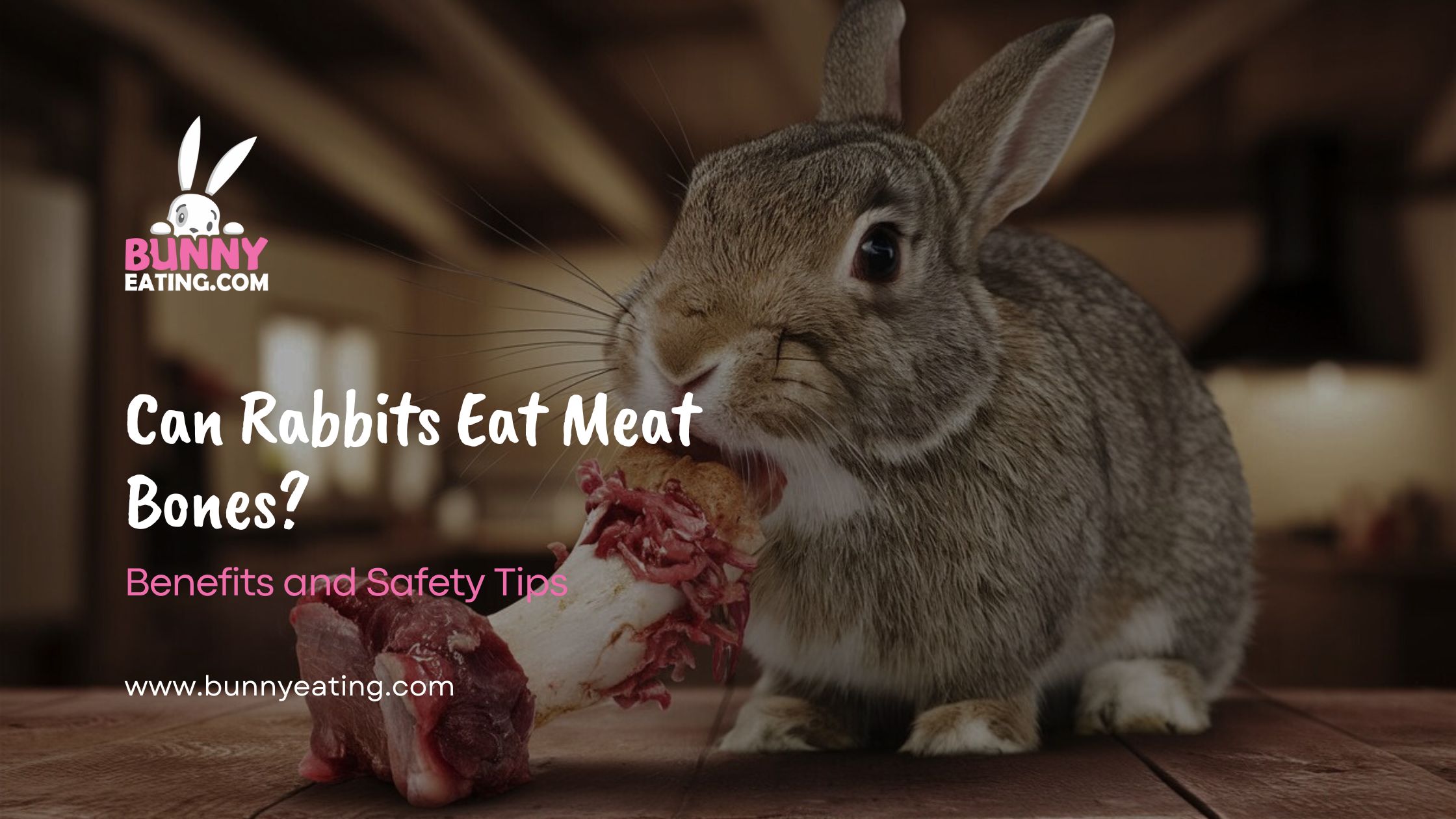 Can Rabbits Eat Meat Bones?