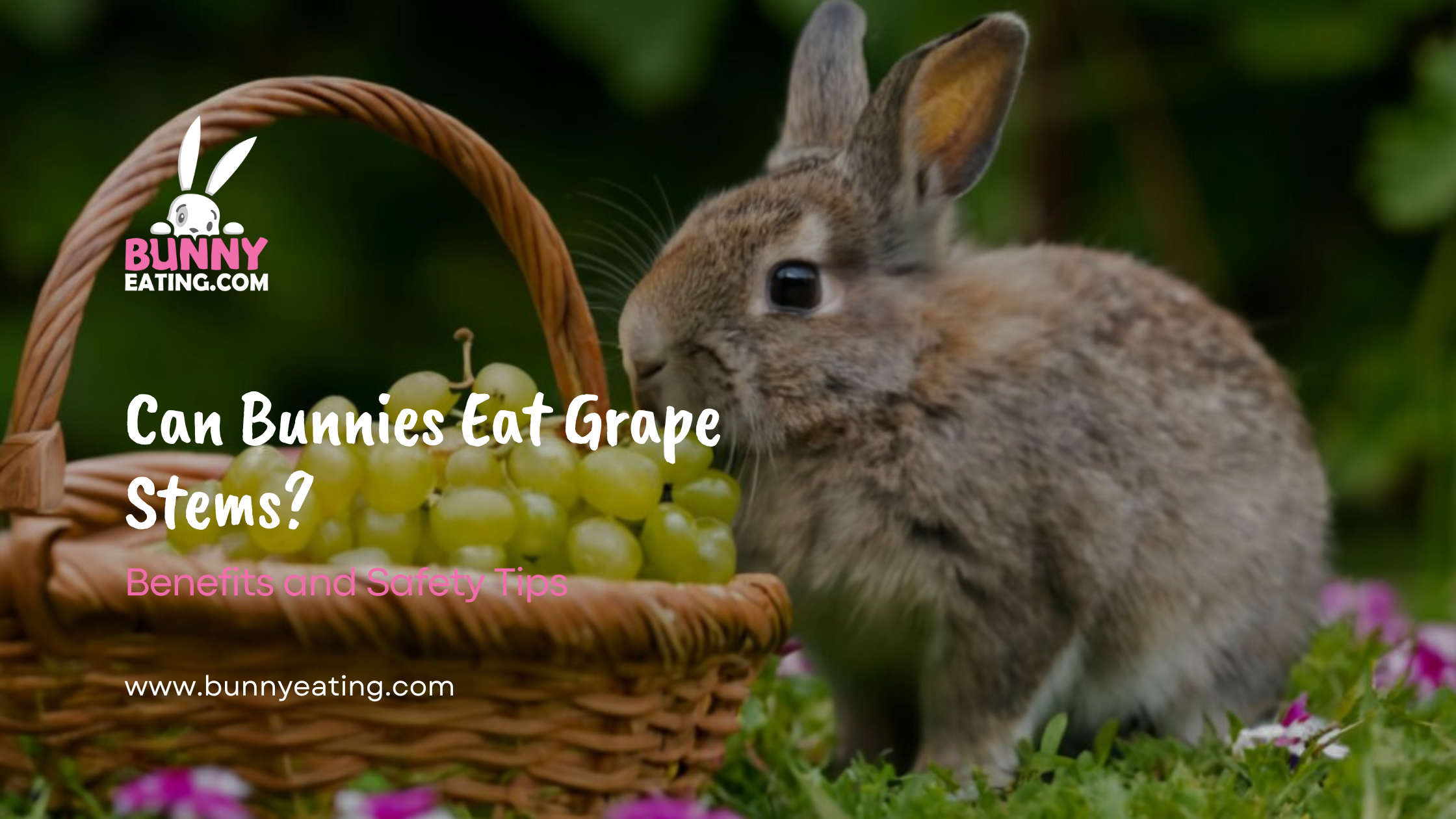 Can Bunnies Eat Grape Stems?