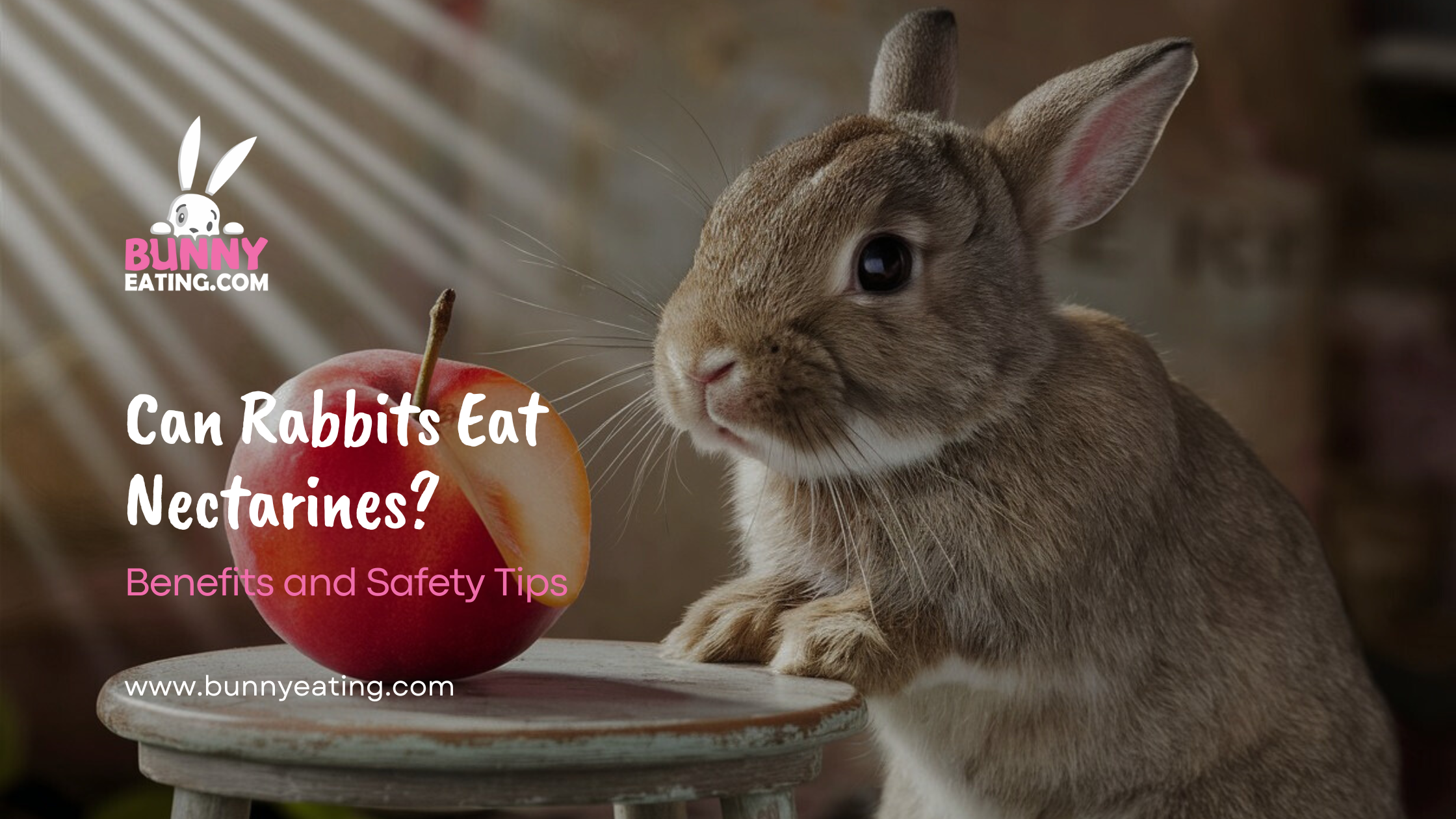 Can Rabbits Eat Nectarines?