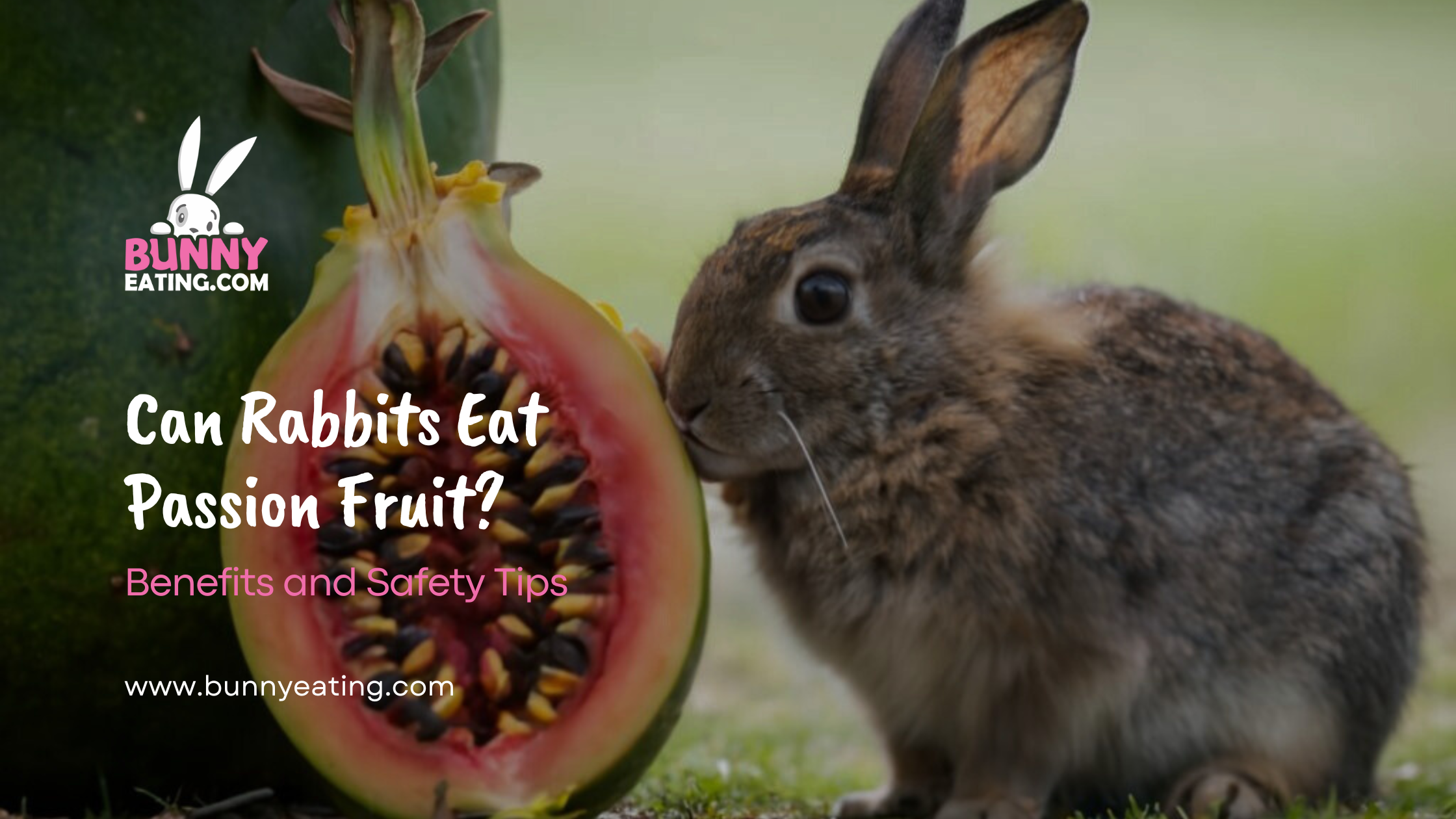 Can Rabbits Eat Passion Fruit?