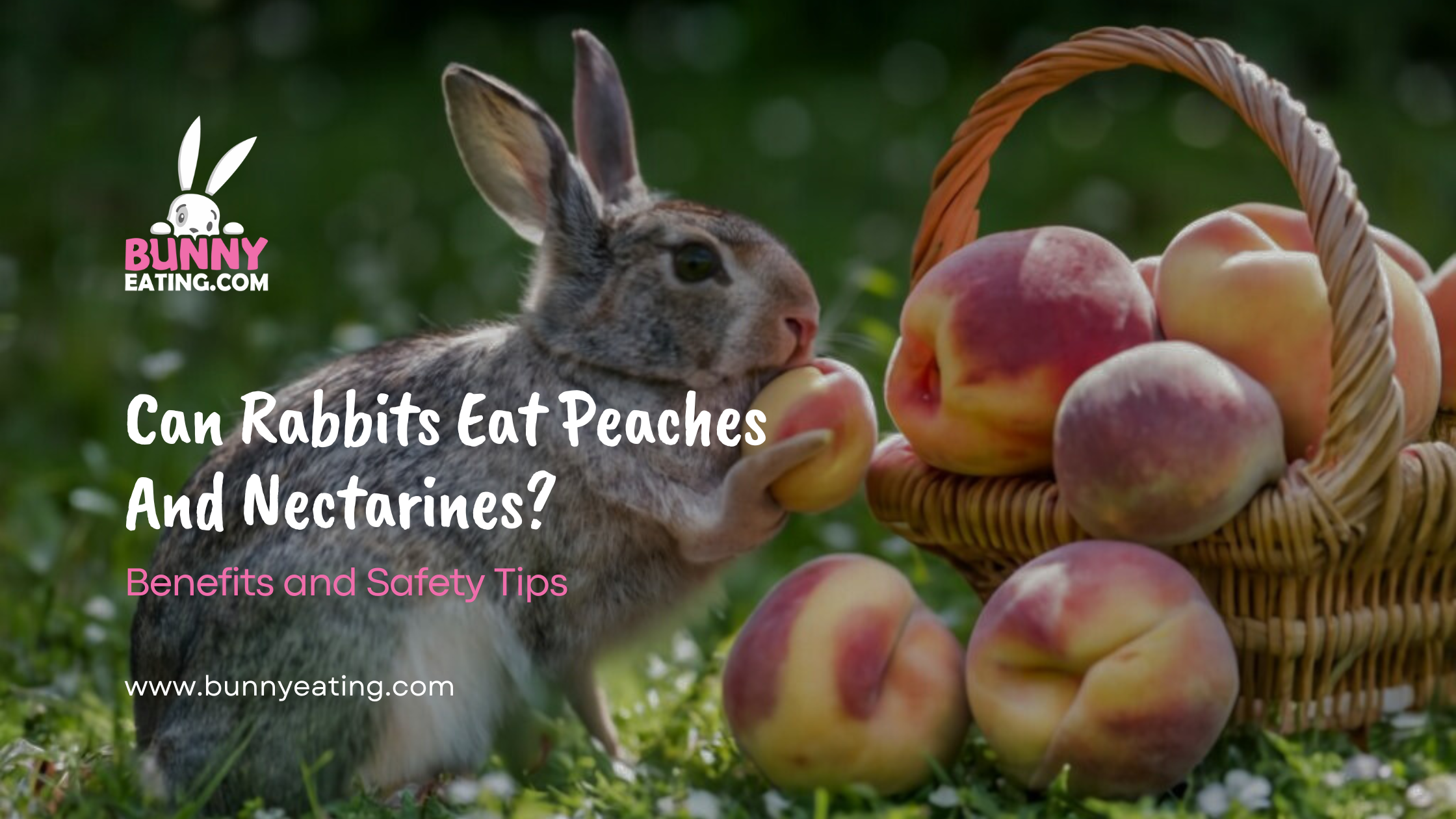 Can Rabbits Eat Peaches And Nectarines?