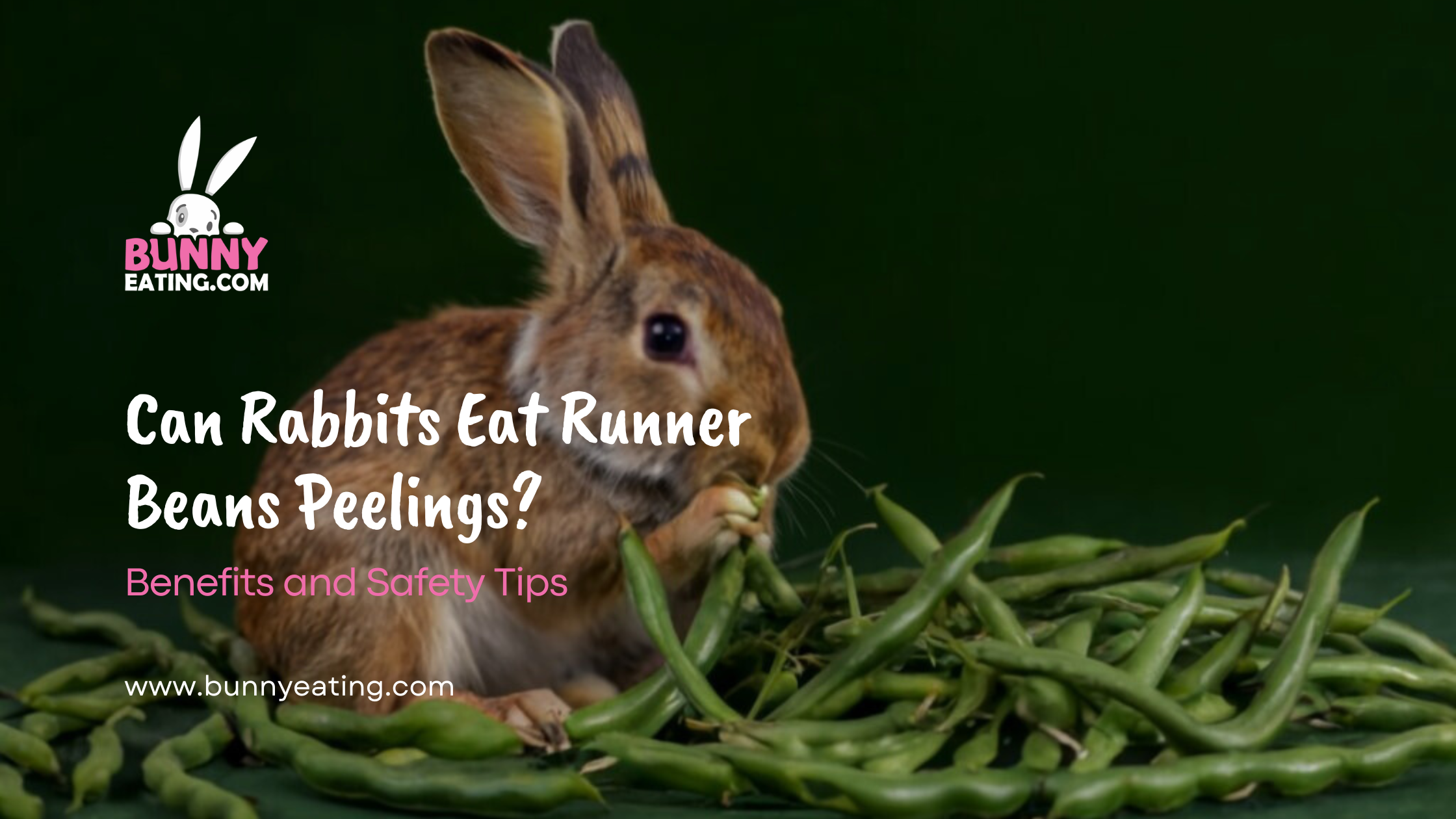 Can Rabbits Eat Runner Beans Peelings?