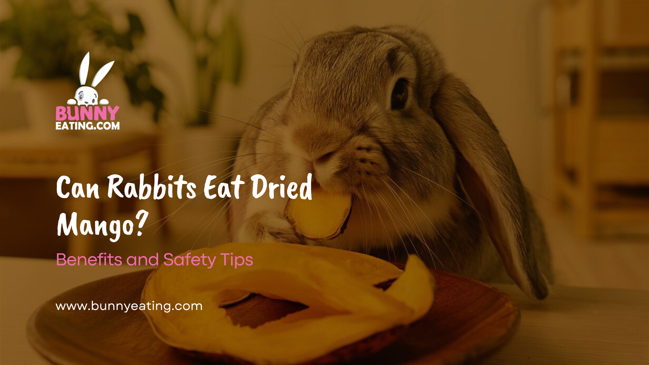 Can Rabbits Eat Dried Mango?