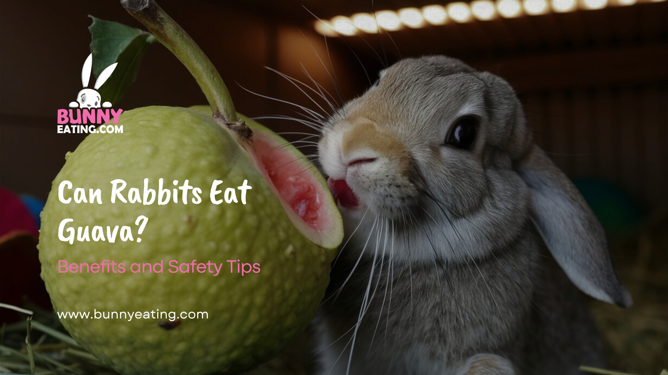 Can Rabbits Eat Guava?