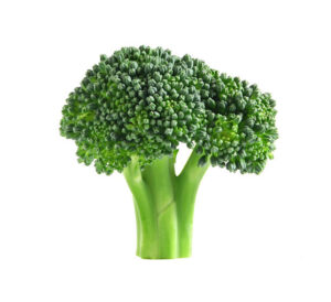 Can Rabbits Eat Broccoli?