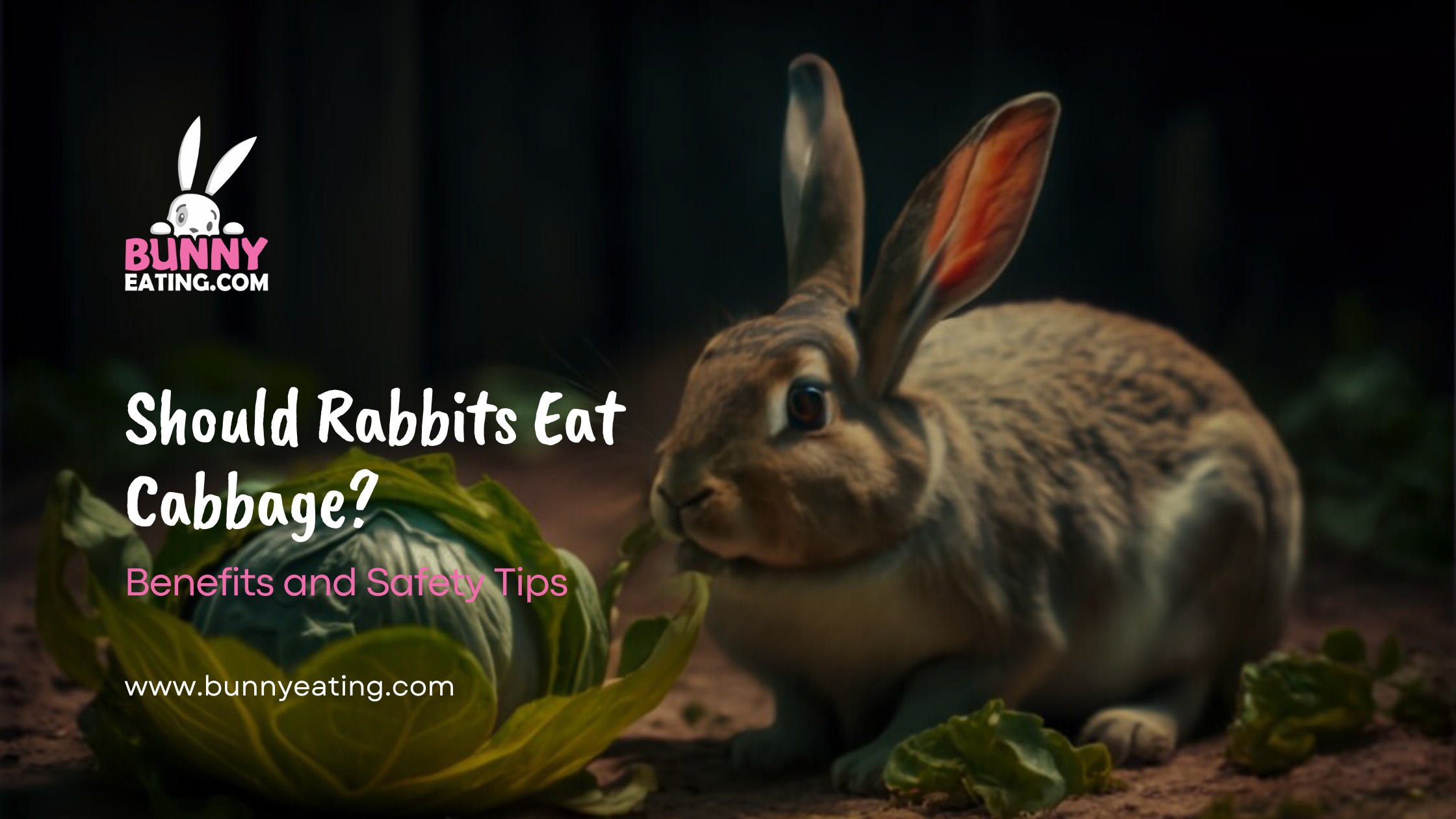 Should Rabbits Eat Cabbage?