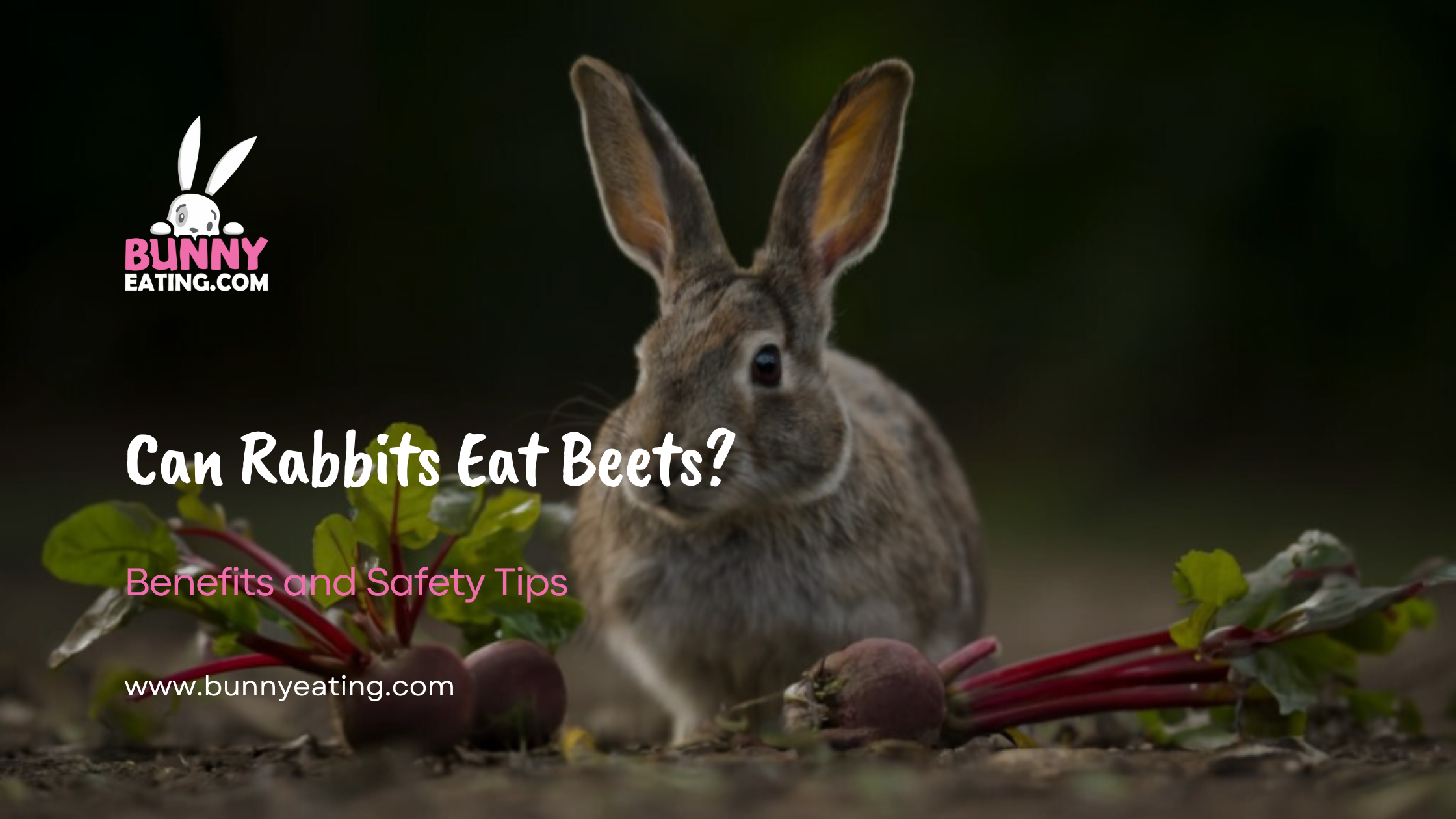 Can Rabbits Eat Beets?