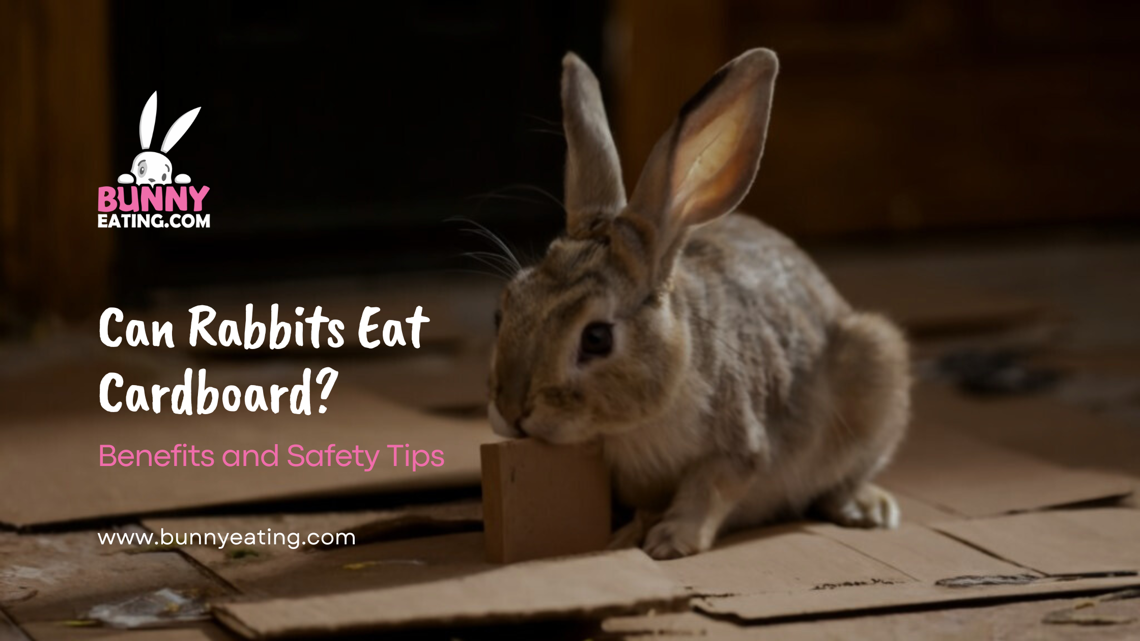 Can Rabbits Eat Cardboard?