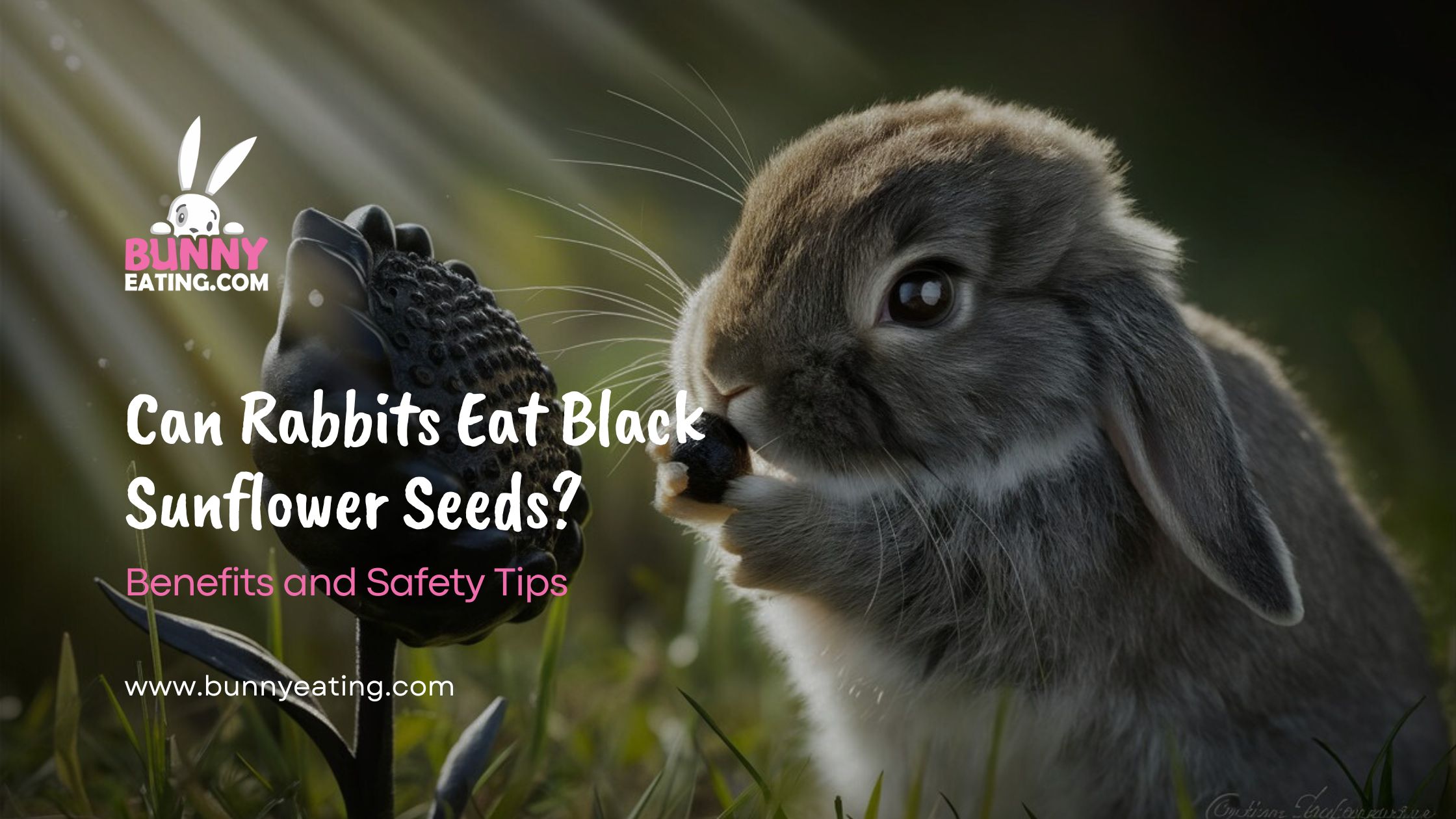 Can Rabbits Eat Black Sunflower Seeds?