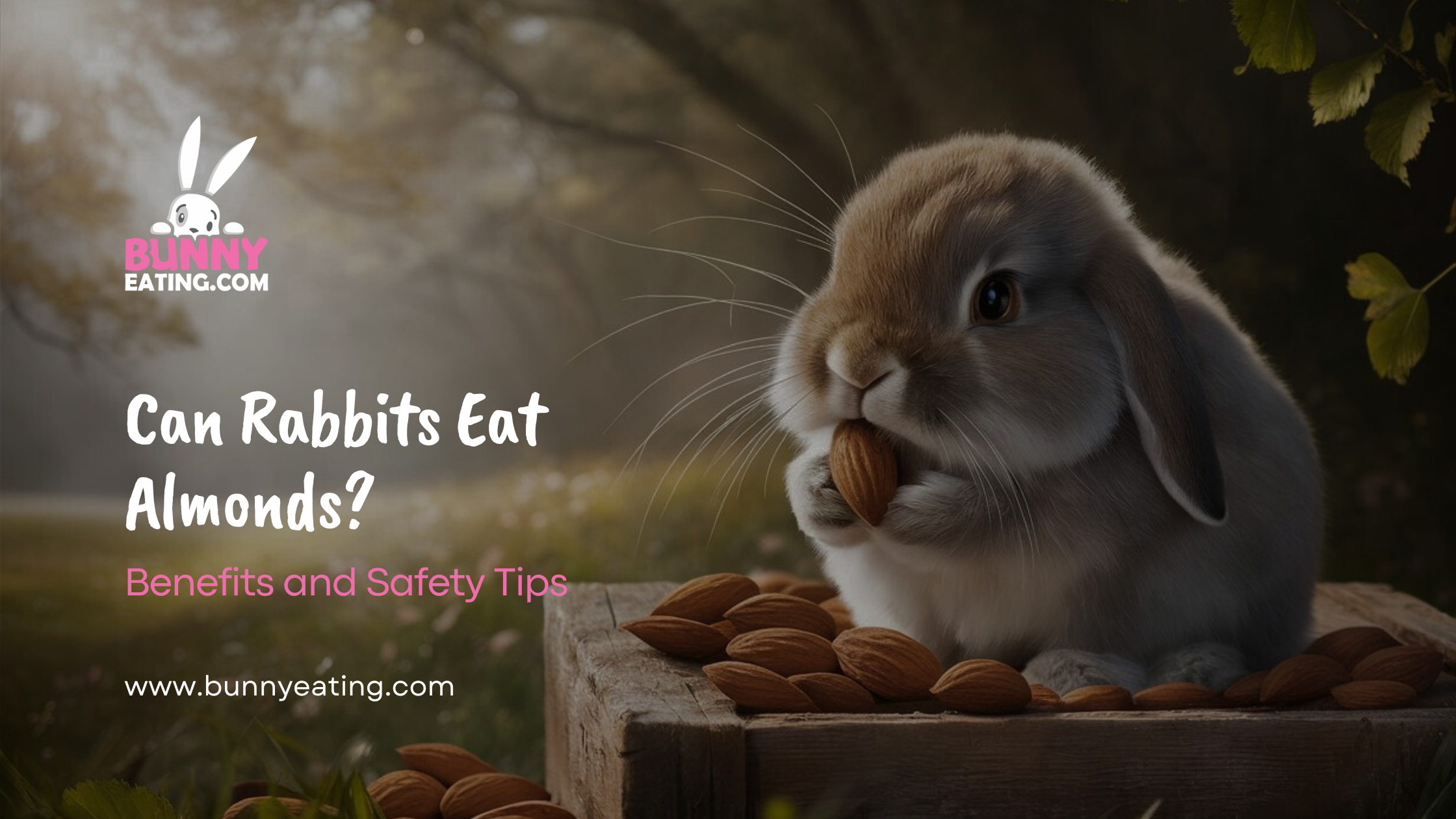 Can Rabbits Eat Almonds?