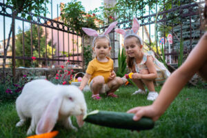 Can Rabbits Eat Cucumbers?