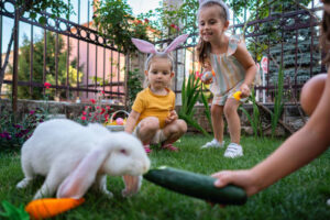 Can Rabbits Eat Cucumbers?