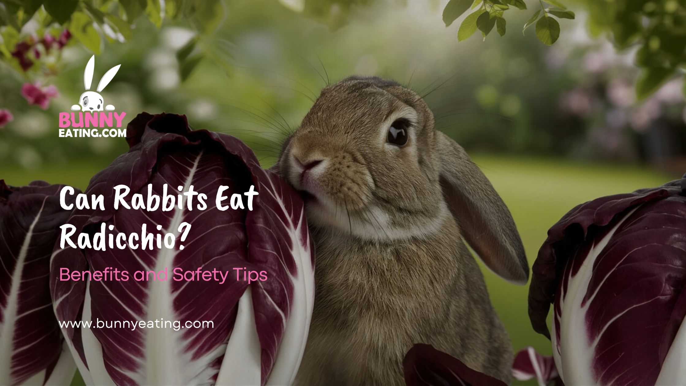 Can Rabbits Eat Radicchio?