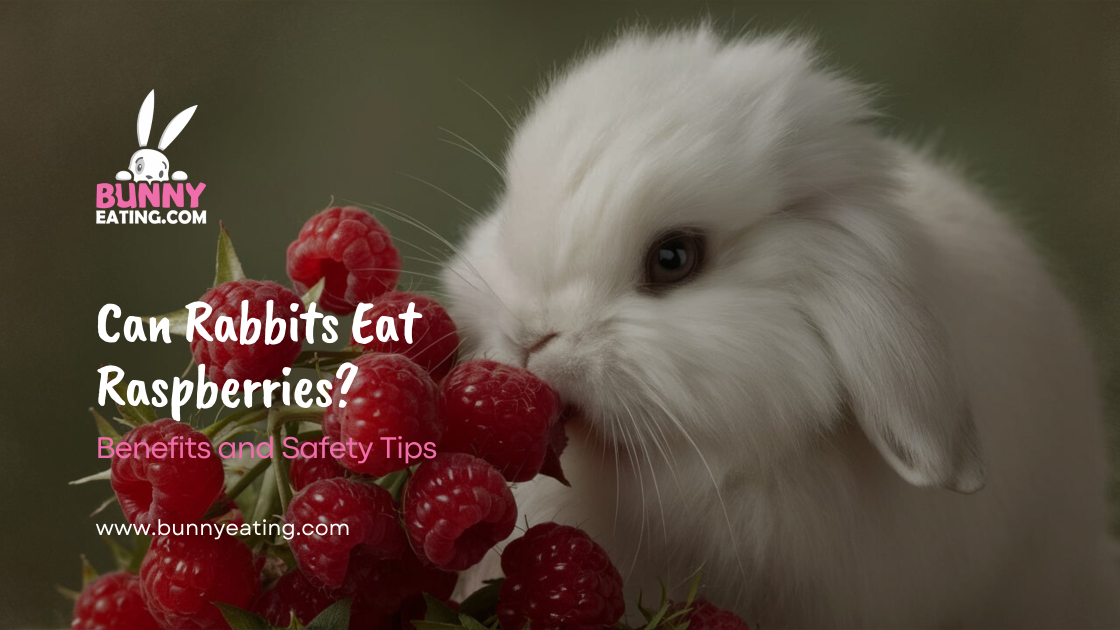 Can Rabbits Eat Raspberries?