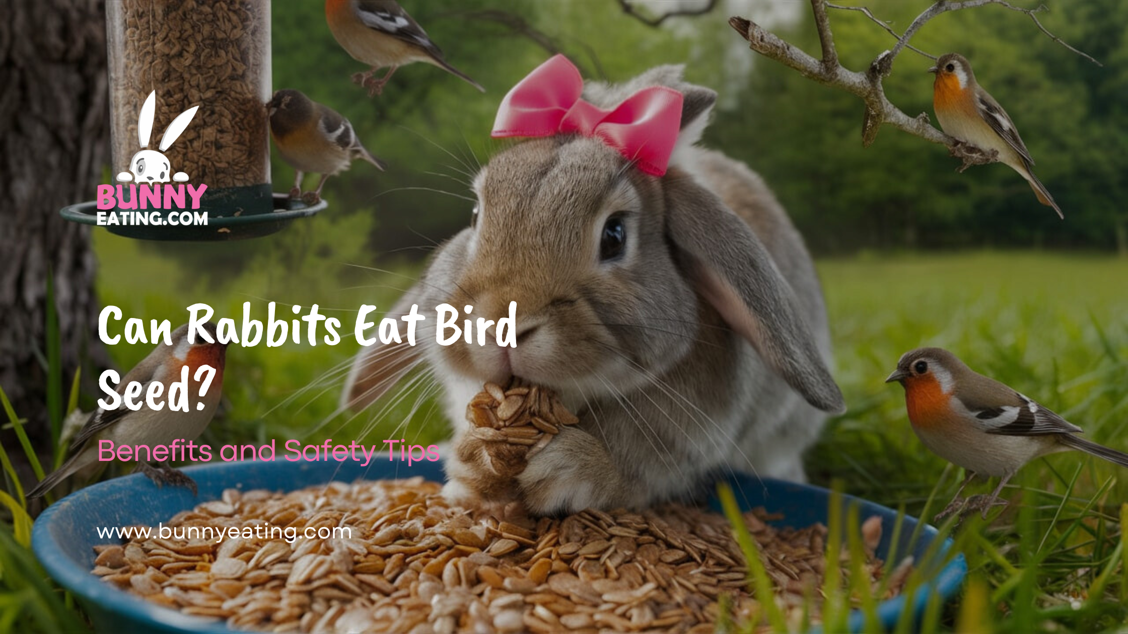 Can Rabbits Eat Bird Seed?