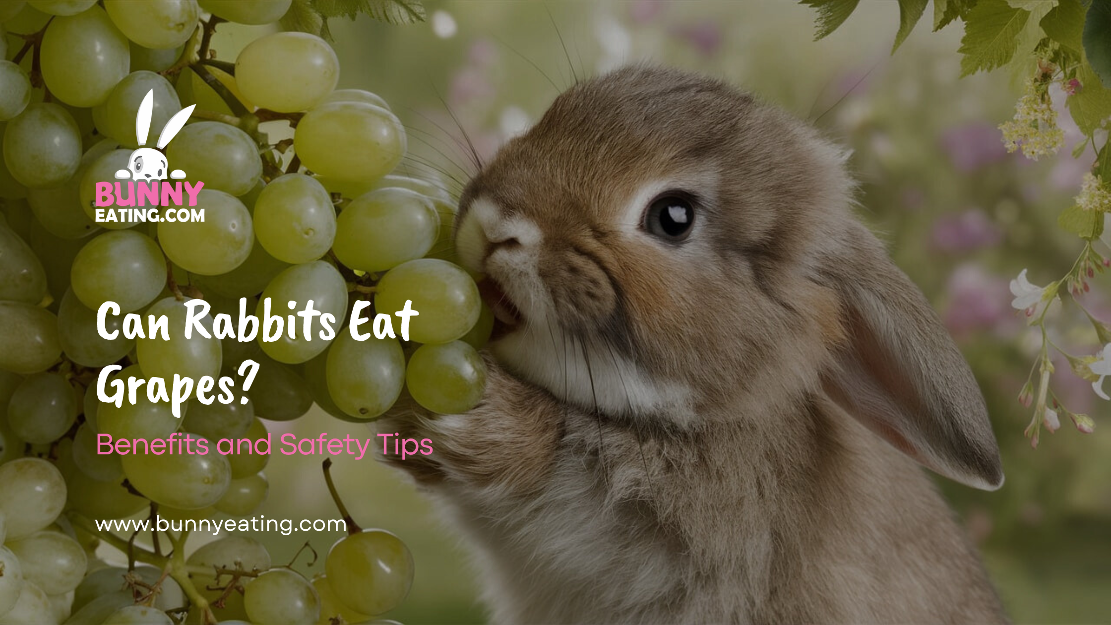 Can Rabbits Eat Grapes?