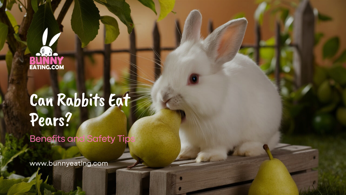 Can Rabbits Eat Pears?