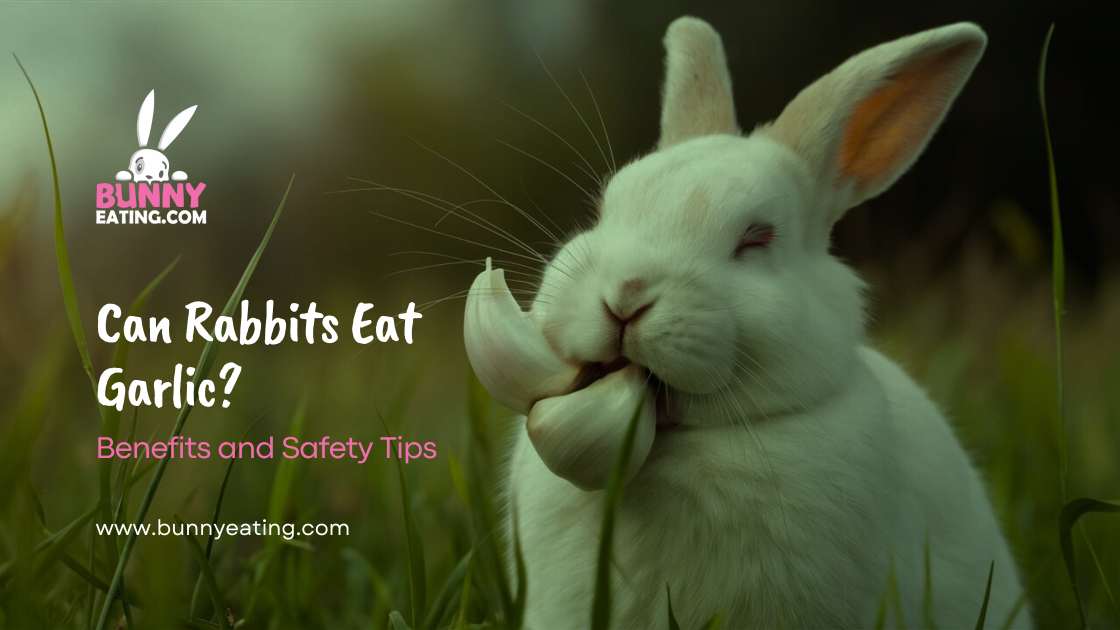 Can Rabbits Eat Garlic?