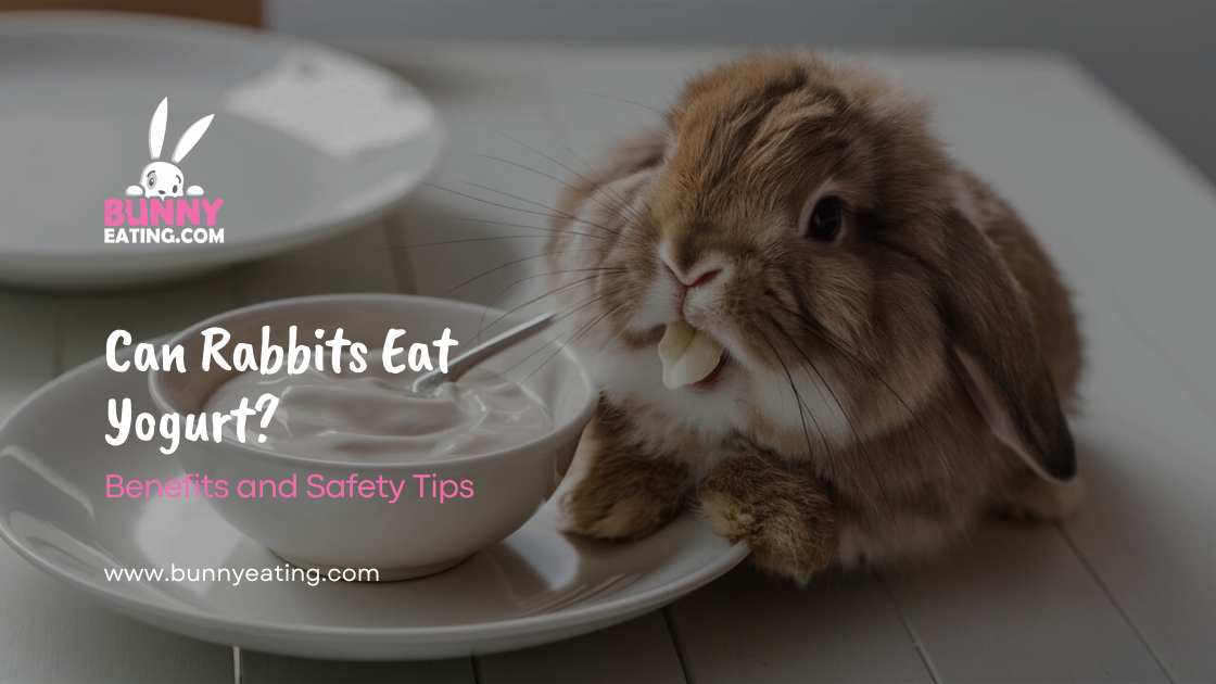 Can Rabbits Eat Yogurt?