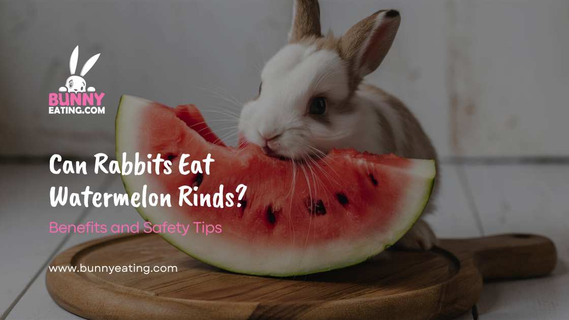 Can Rabbits Eat Watermelon Rinds?