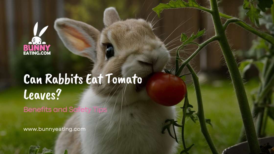 Can Rabbits Eat Tomato Leaves?