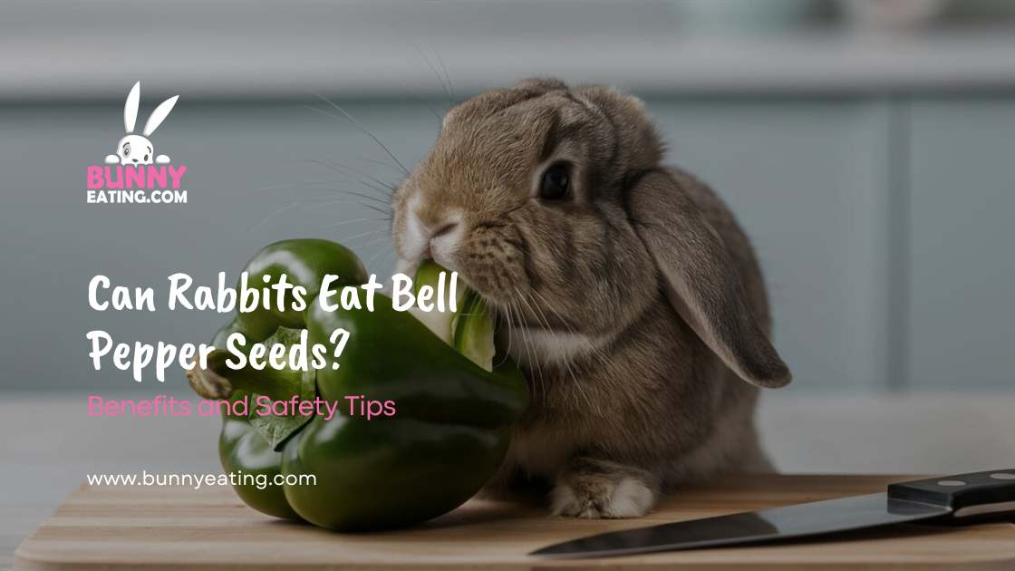 Can Rabbits Eat Bell Pepper Seeds?