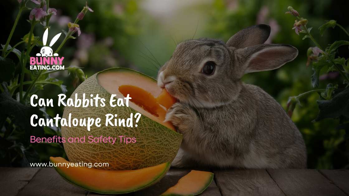 Can Rabbits Eat Cantaloupe Rind?