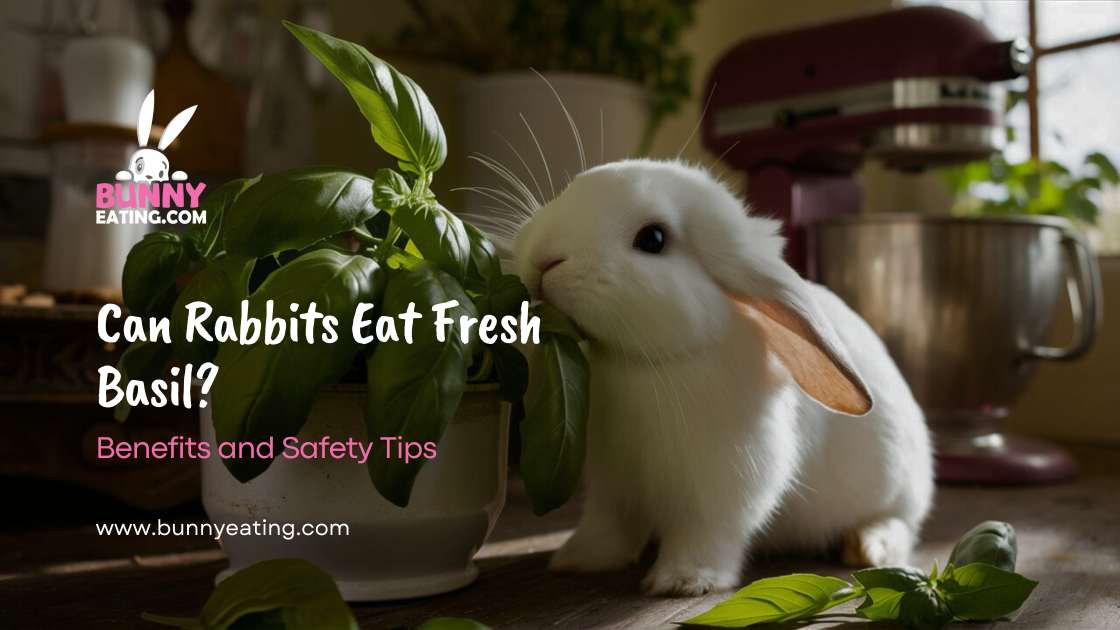 Can Rabbits Eat Fresh Basil?