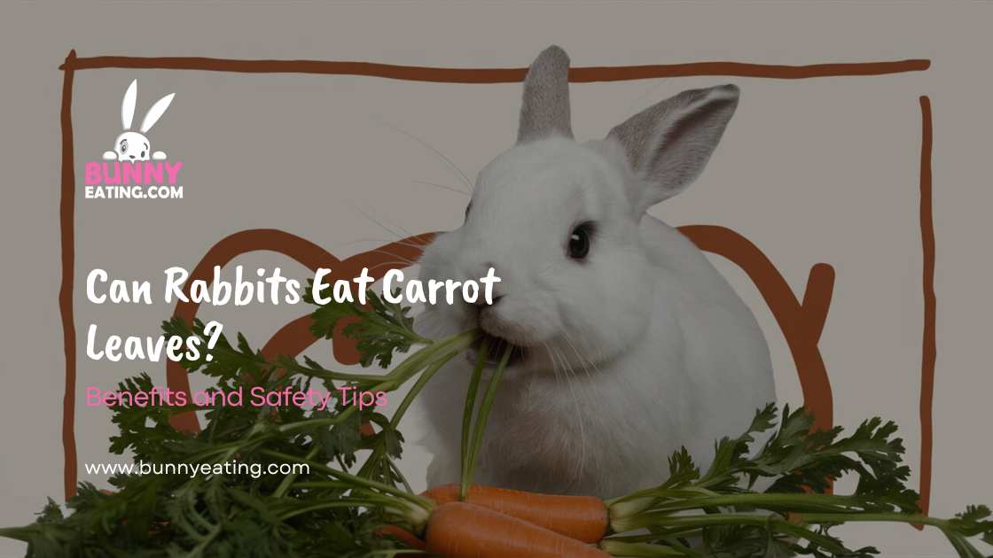 Can Rabbits Eat Carrot Leaves?