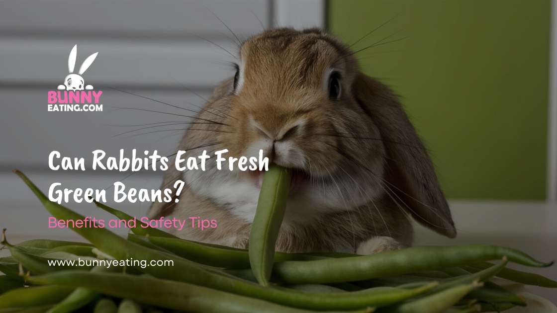 Can Rabbits Eat Fresh Green Beans?