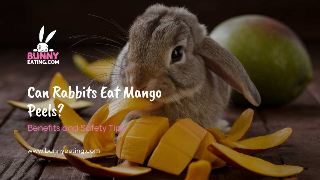 Can Rabbits Eat Mango Peels?