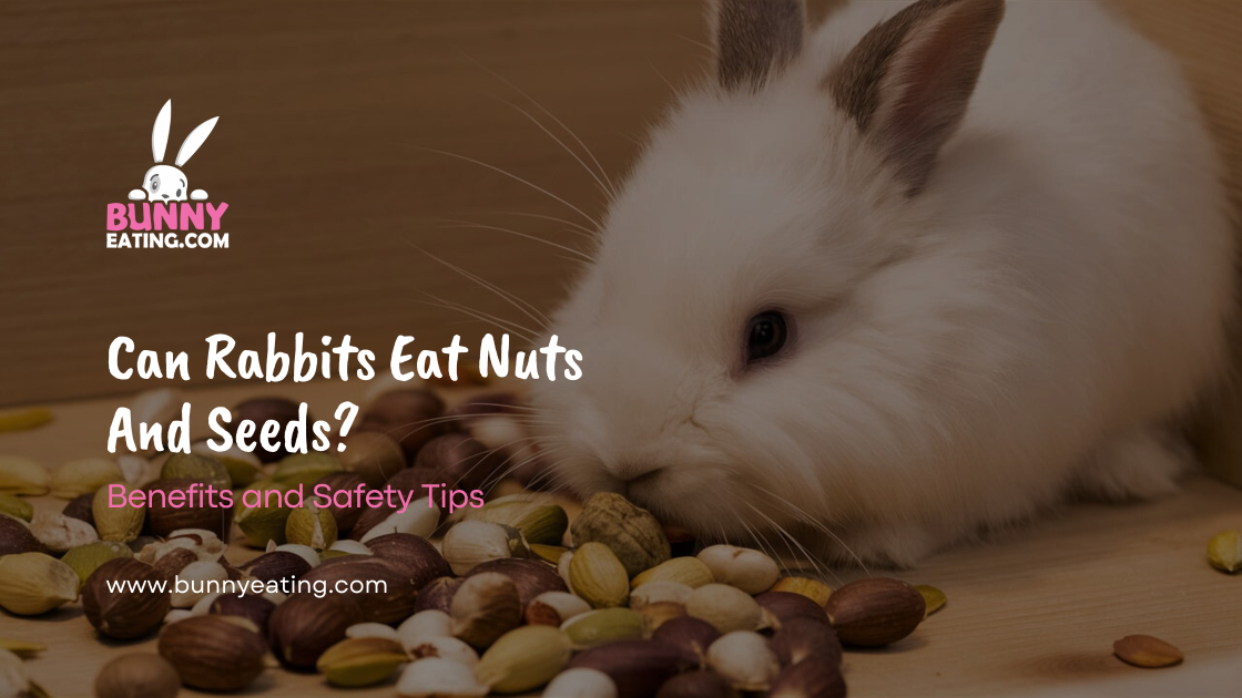 Can Rabbits Eat Nuts And Seeds?