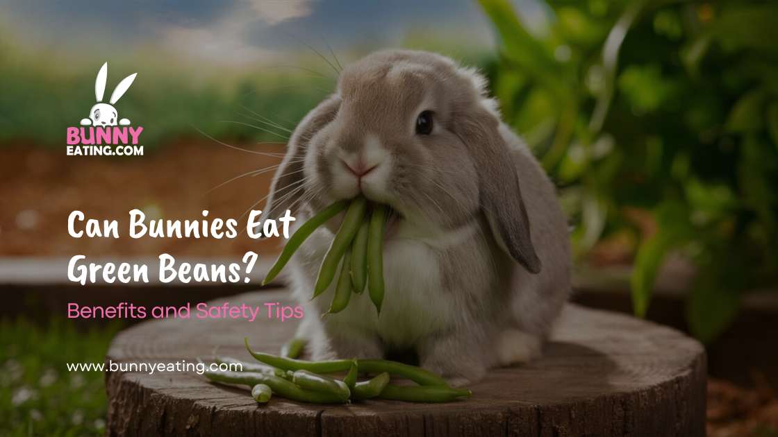 Can Bunnies Eat Green Beans?