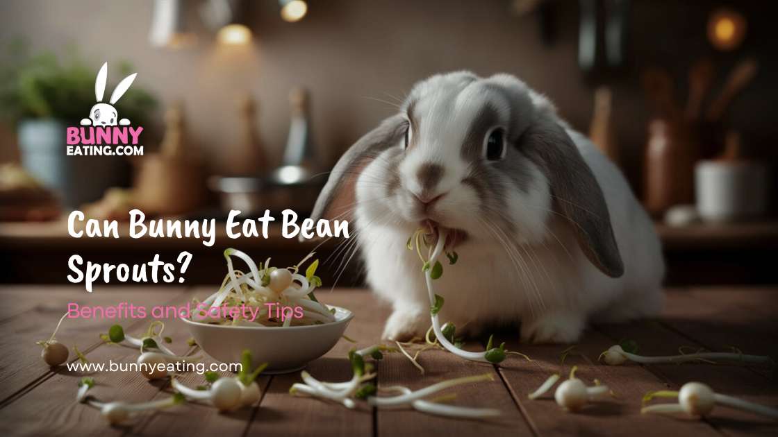 Can Bunny Eat Bean Sprouts?