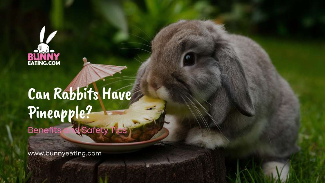 Can Rabbits Have Pineapple?