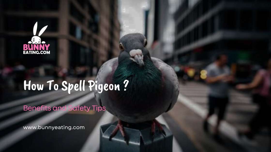 How To Spell Pigeon?