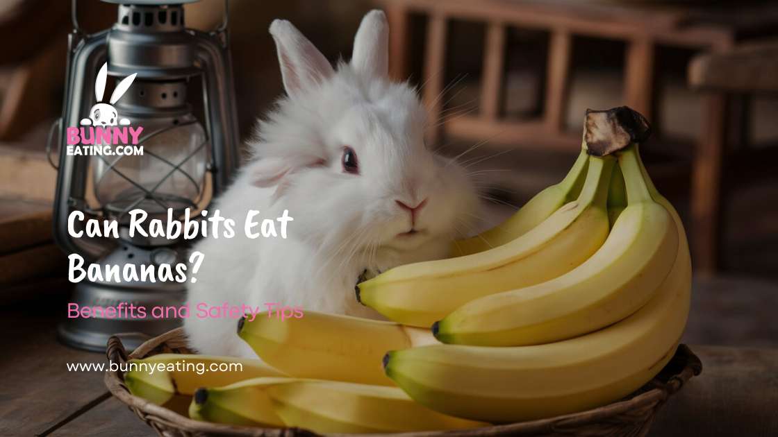 Can Rabbits Eat Bananas?