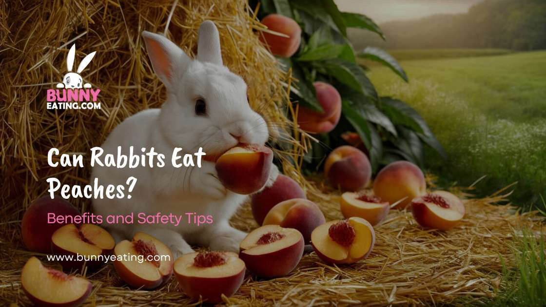 Can Rabbits Eat Peaches?