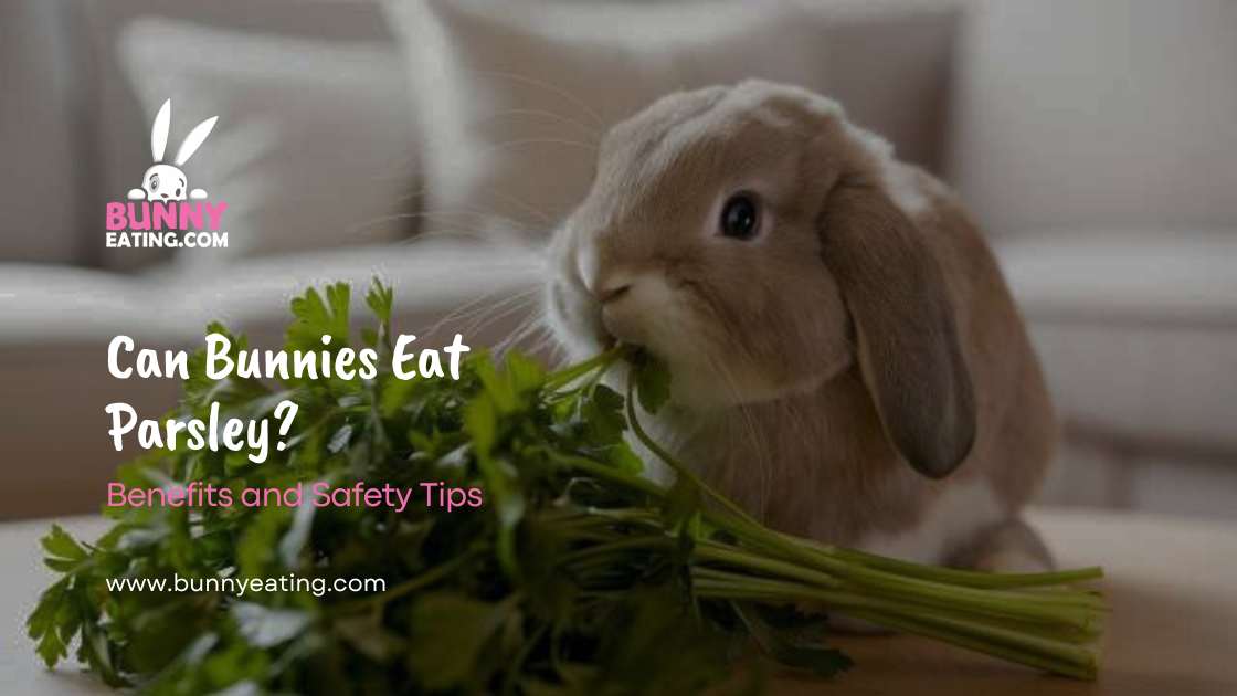 Can Bunnies Eat Parsley?