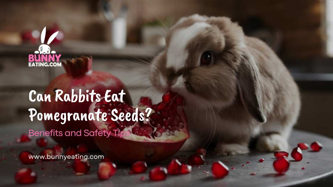 Can Rabbits Eat Pomegranate Seeds?