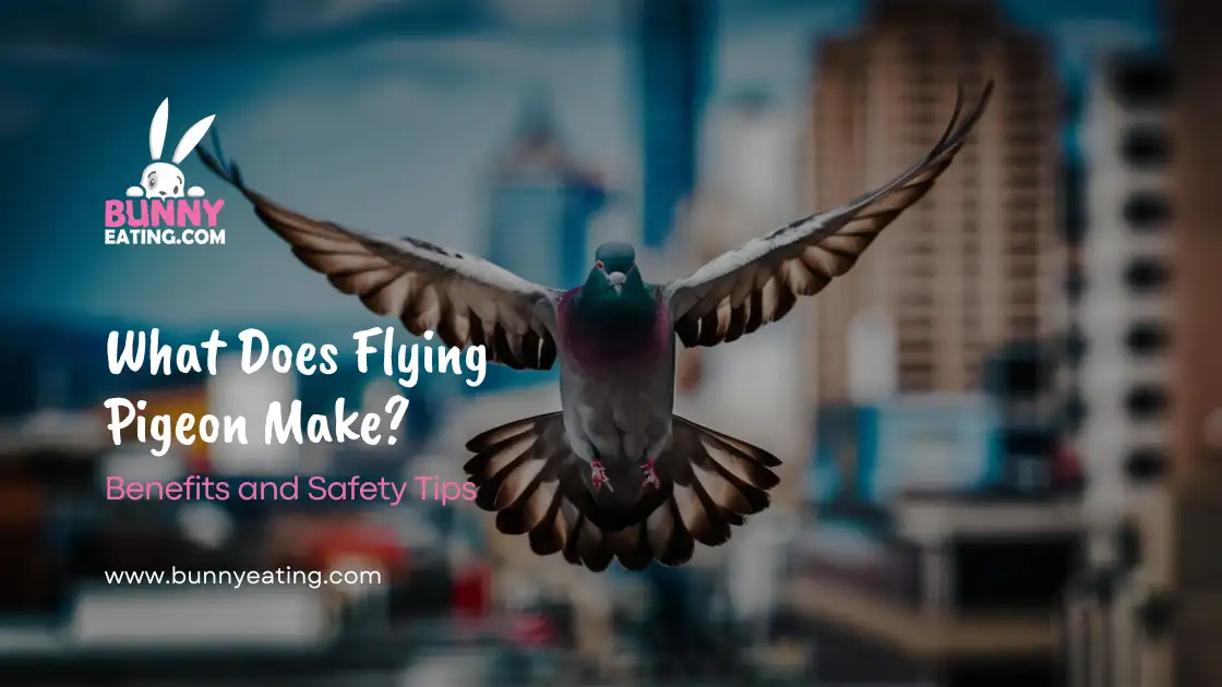 what-does-flying-pigeon-make