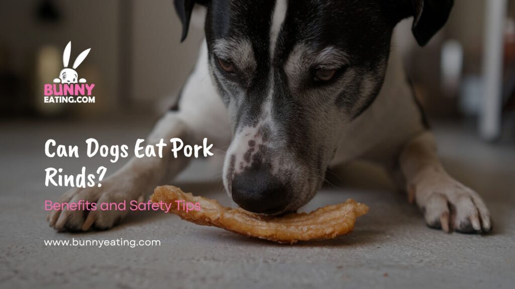 Can Dogs Eat Pork Rinds?