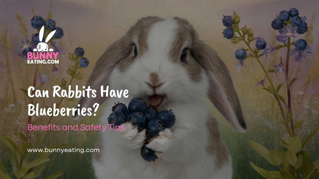 can-rabbits-have-blueberries