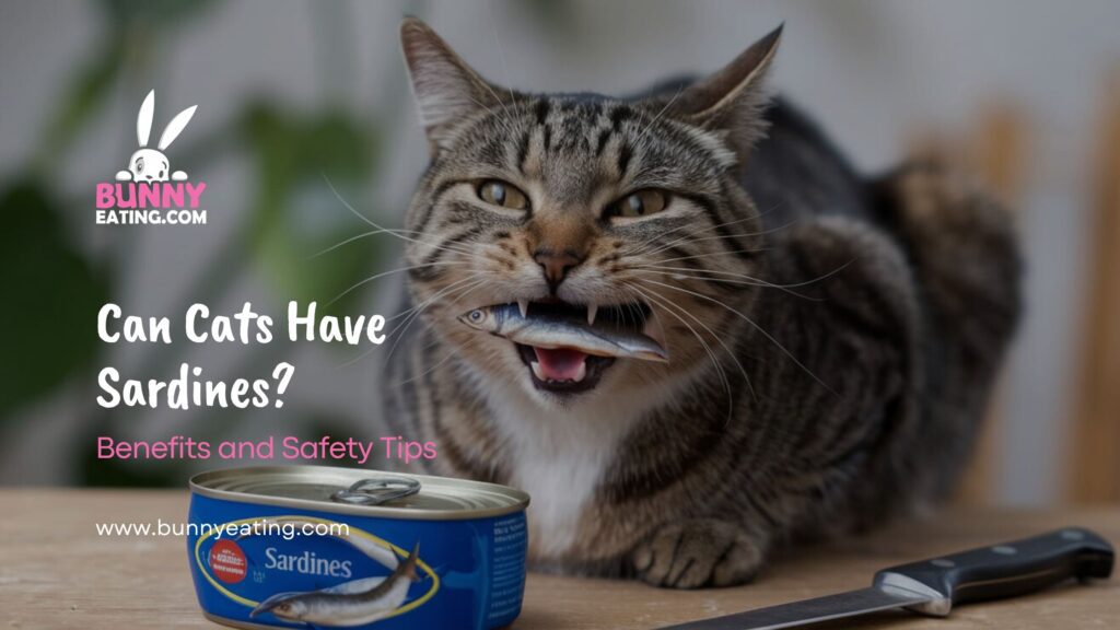 can-cats-have-sardines