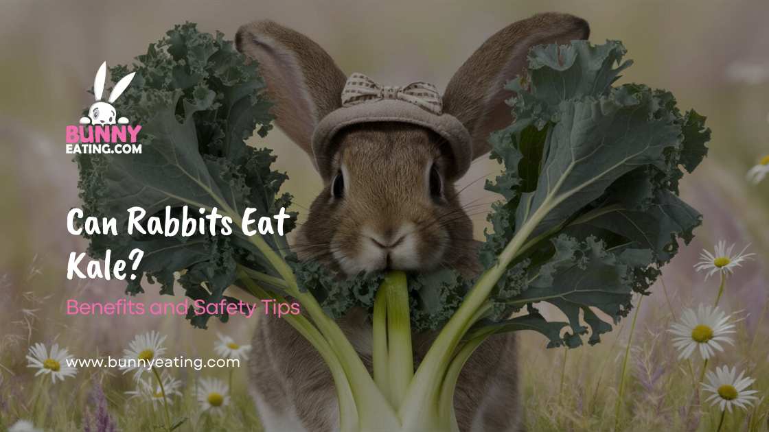 Can Rabbits Eat Kale?