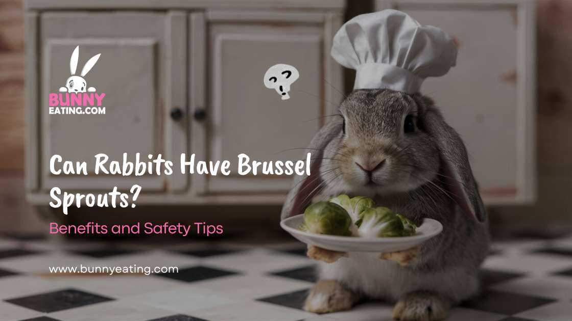 Can Rabbits Have Brussel Sprouts?