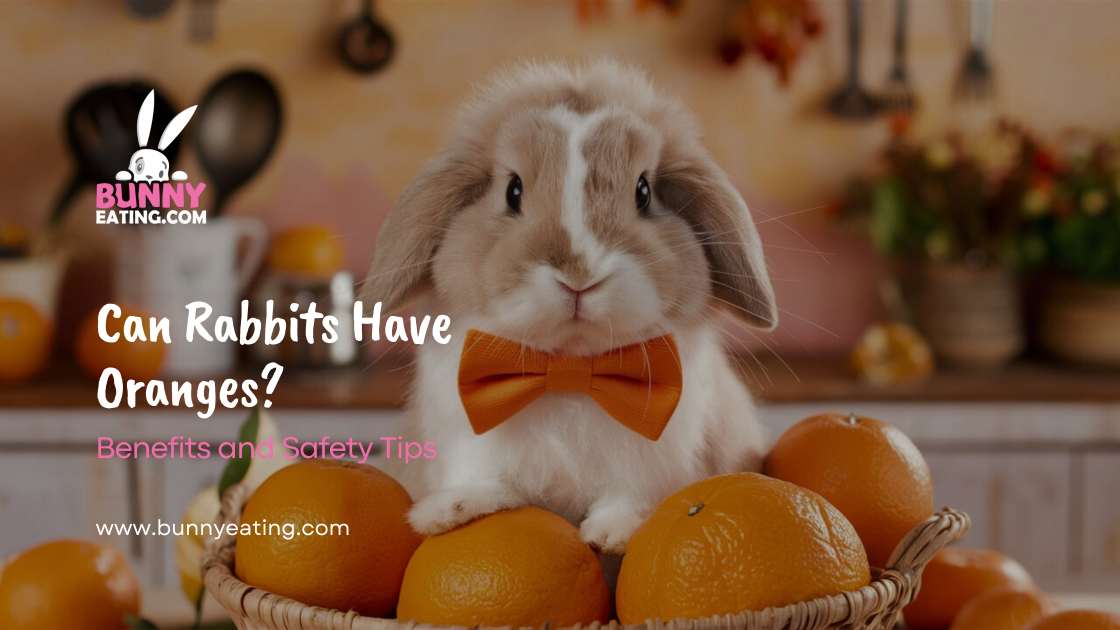 Can Rabbits Have Oranges?