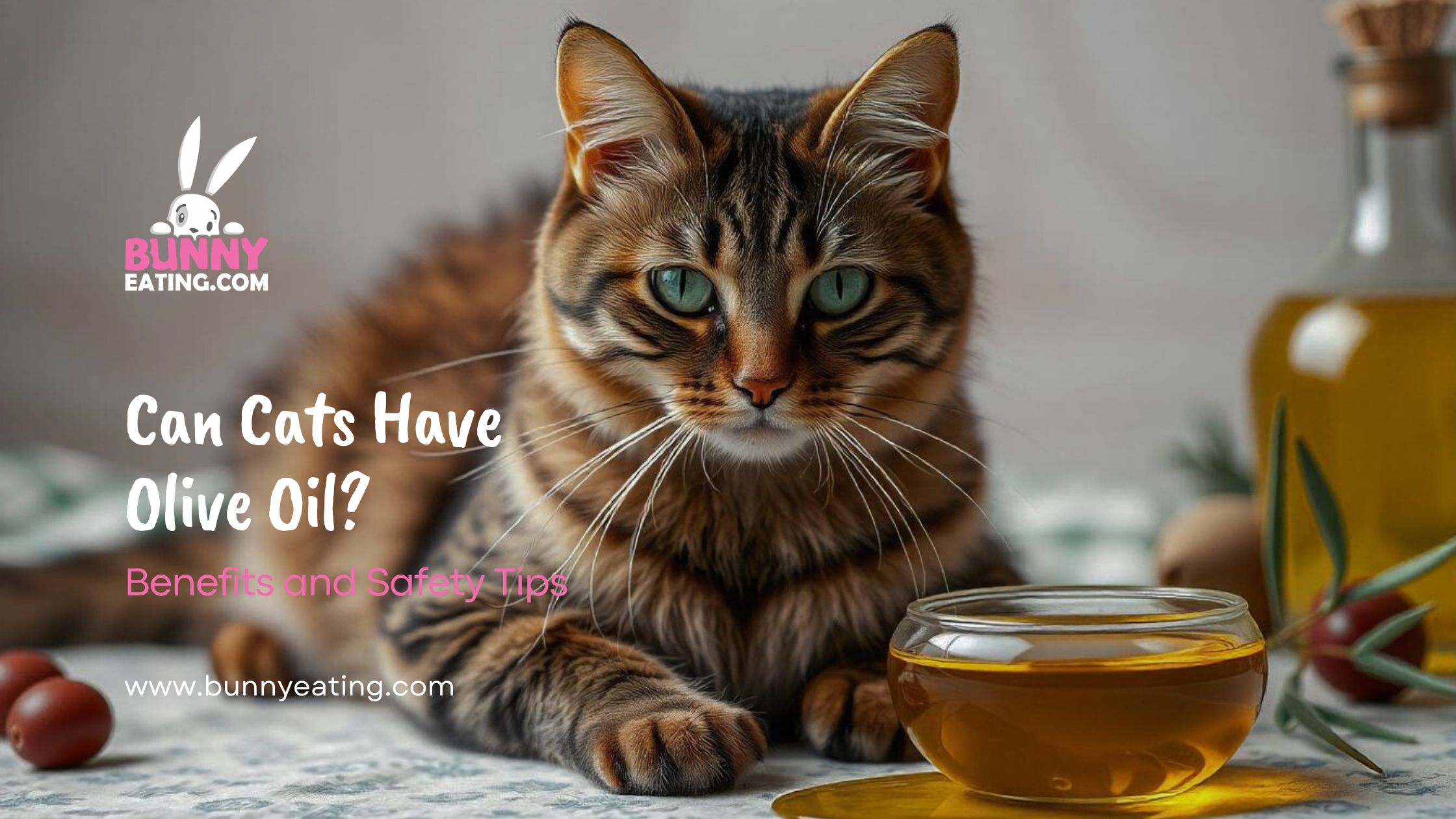 Can Cats Have Olive Oil?